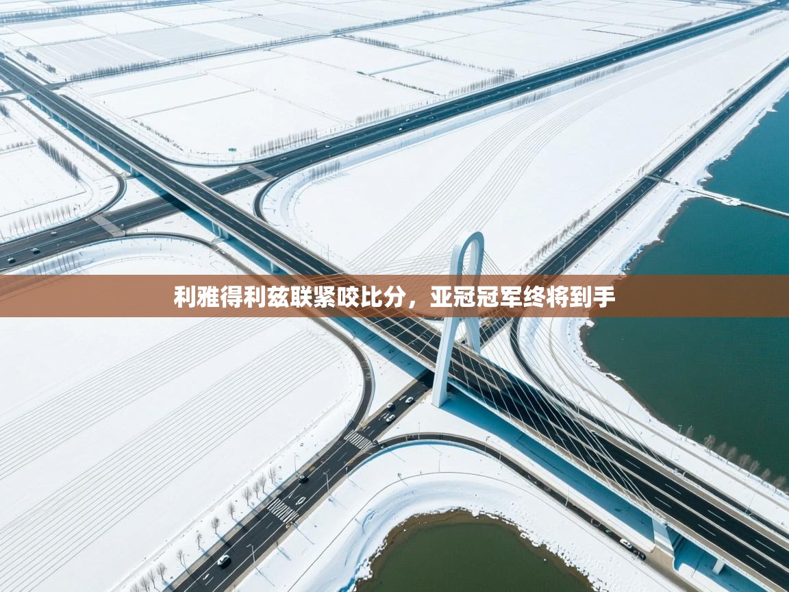 利雅得利兹联紧咬比分，亚冠冠军终将到手  第1张